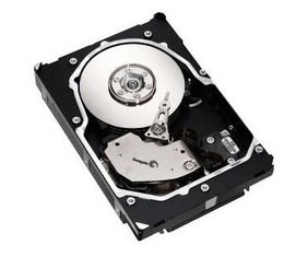 IBM Enhanced Disk Drive Module - disco r�gido - 146,8 GB - 4Gb Fibre Channel